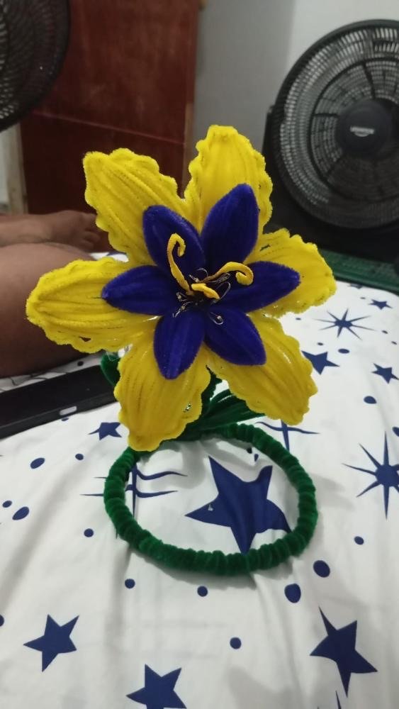 Estrella del sol